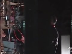 Tera Patrick Fucking Adores To Shoot Wild BDSM Clips Like No One Else!