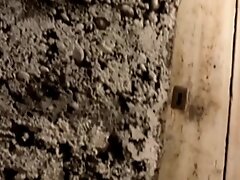 Deux coquines sucrant au gloryhole