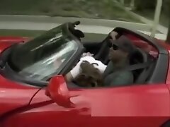 Asian Angel 12219 - TosaiProd