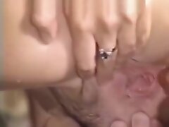 Chameleons Not The Sequel