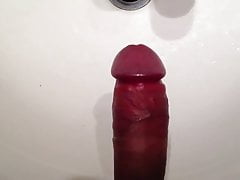 Asian Sink Cum